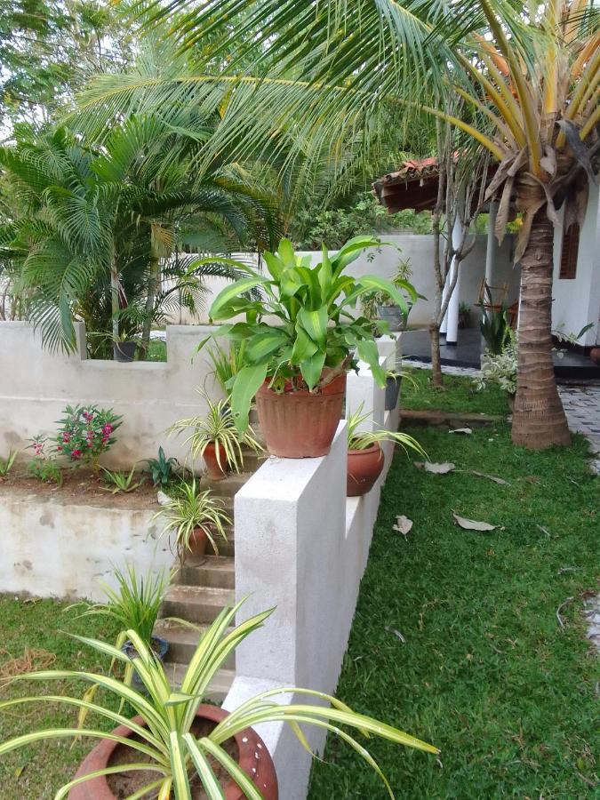 Peacock Garden Bed & Breakfast Tangalle Exterior photo